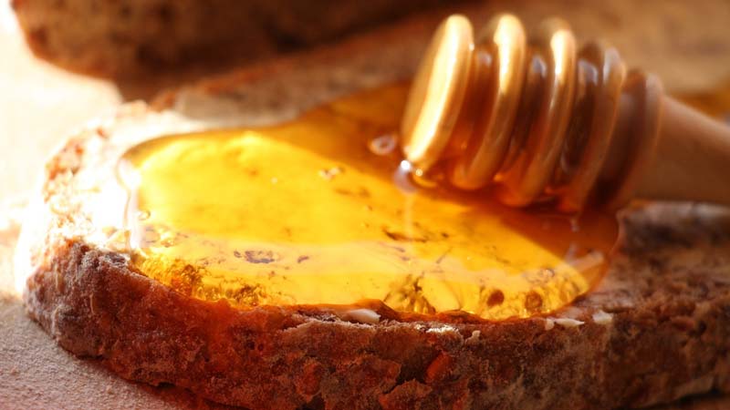 honigbrot-bild-1